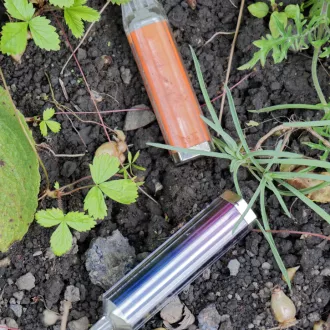 A photo of vapes discarded among plants